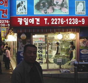 赴韓國(guó)考察訪問